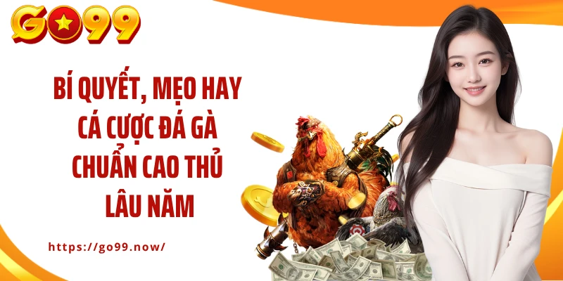 Bí quyết, mẹo hay cá cược đá gà chuẩn cao thủ lâu năm