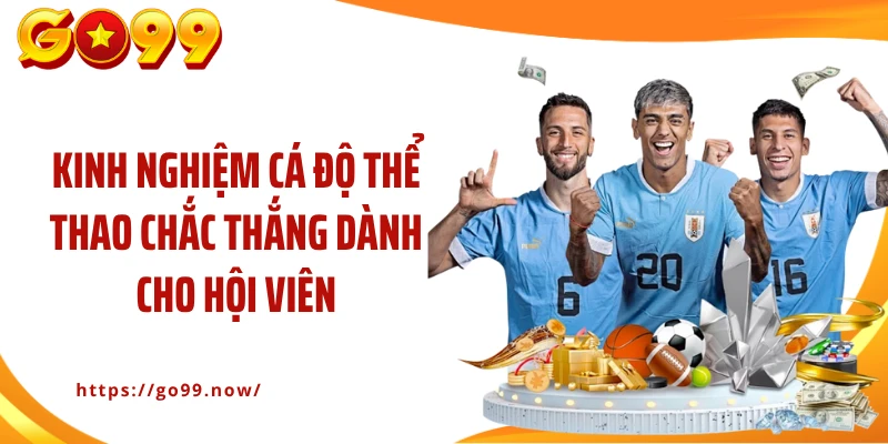 Kinh nghiệm cá độ thể thao chắc thắng dành cho hội viên