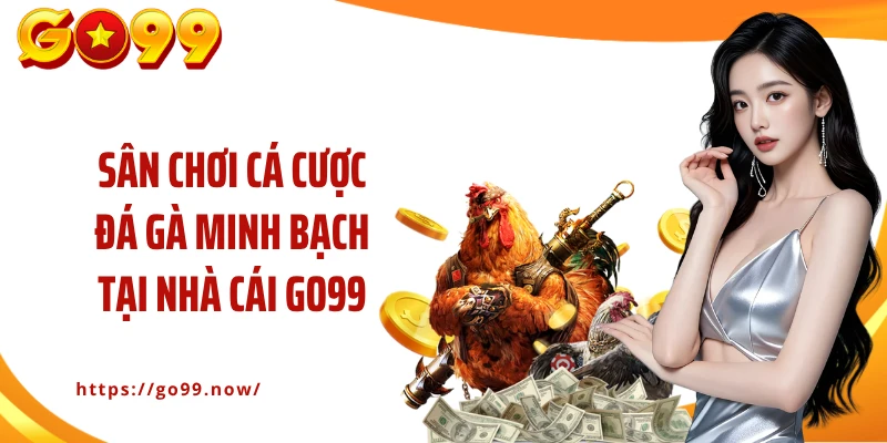 Sân chơi cá cược đá gà minh bạch tại nhà cái GO99 